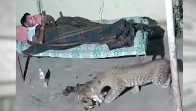 O caso acende um alerta para pessoas que moram em áreas onde animais selvagens podem estar presentes, especialmente em regiões próximas à natureza. | ​Foto: Reprodução/Redes sociais