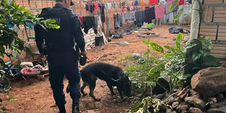 A operação foi coordenada pela equipe de plantão da Delegacia de Brejo Grande do Araguaia, com apoio do Canil da Guarda Municipal de Parauapebas e da Polícia Civil de Palestina do Pará. (Reprodução)