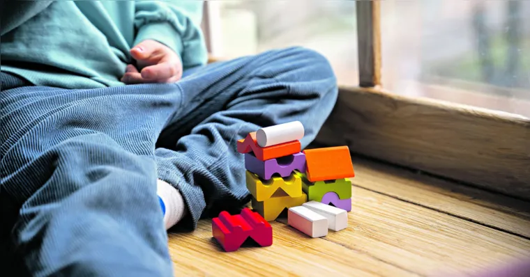 Segundo os dados divulgados pelo instituto, o quantitativo corresponde a 1,1% dos moradores do Estado. Especialistas dizem que números ajudam a planejar políticas públicas. Confira outros dados sobre o TEA no Brasil | ​Foto: Reprodução
