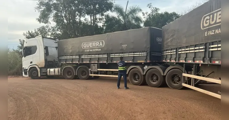 Sefa apreende 147 toneladas de soja e 75 cabeças de gado com irregularidades fiscais no Pará | Divulgação