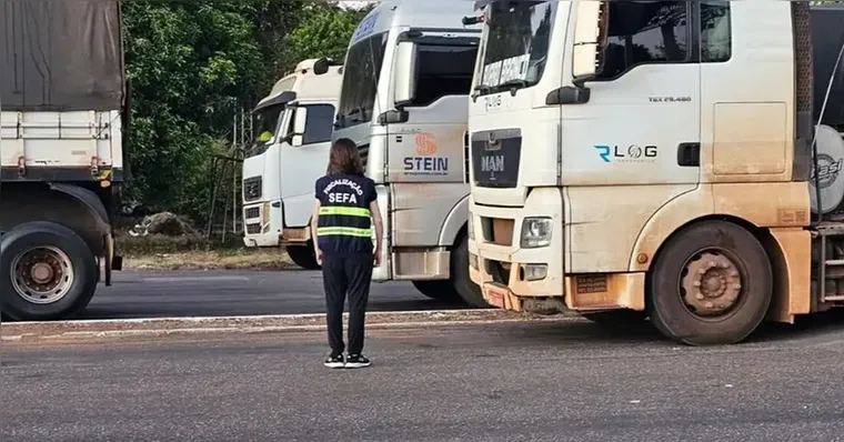 Foram lavrados quatro Termos de Apreensão e Depósito | Foto: Divulgação