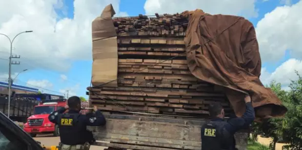 A imagem em destaque mostra policiais rodoviários federais fiscalizando o caminhão que transportava a carga de madeira. (Foto: Divulgação | Ascom PRF)