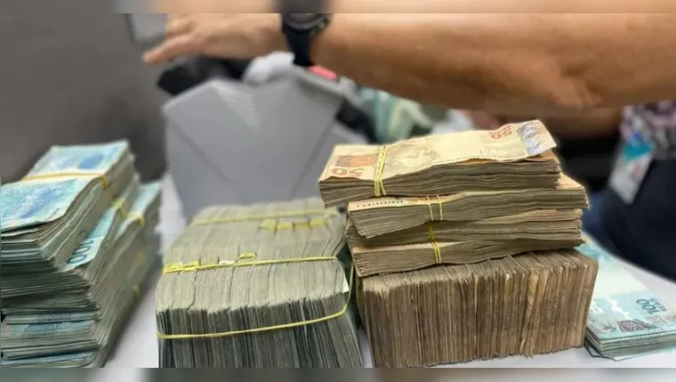 A Condenação faz parte da Operação Meiose, realizada em 2019 pela Polícia Civil e pelo Ministério Público do Estado do Pará | (Divulgação/Polícia Federal)