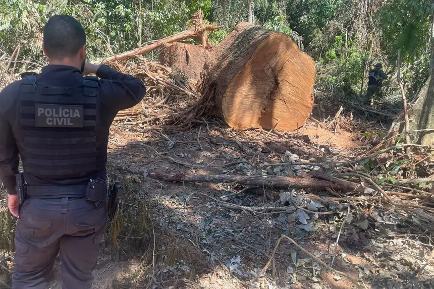 Foto: Agência Pará