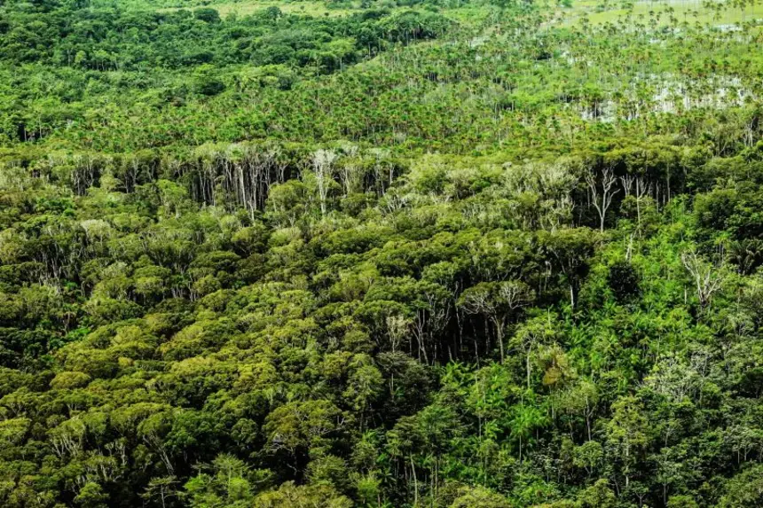 Foto: Reprodução Agência Pará