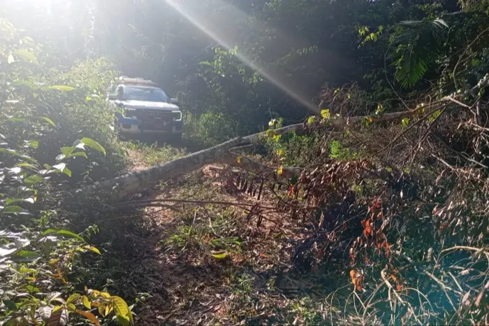 Foto: Reprodução/Agência Pará