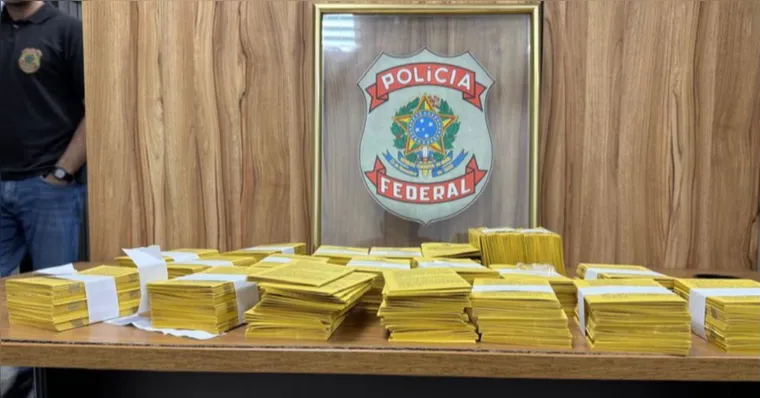 material estava no interior de um veículo e chamou atenção das autoridades por imitar o modelo oficial utilizado pela República do Suriname. | Divulgação