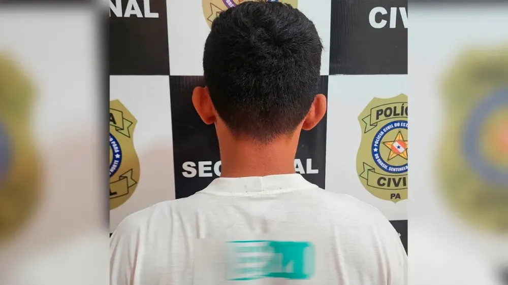Os exames sexológicos comprovaram o crime. | Foto: PCPA / Reprodução