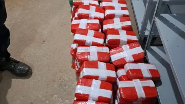 A droga estava em um avião que caiu em Pacajá. | Divulgação/PCPA