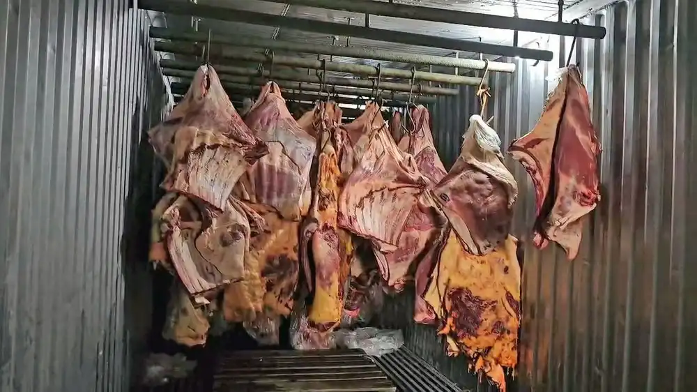 Carne imprópria para consumo em Três Rios — Foto: Reprodução/TV Globo