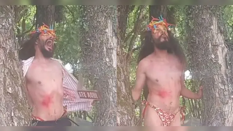 Após a performance, o folião desceu de uma árvore onde estava e foi carregado pelos participantes. | Reprodução/Redes Sociais