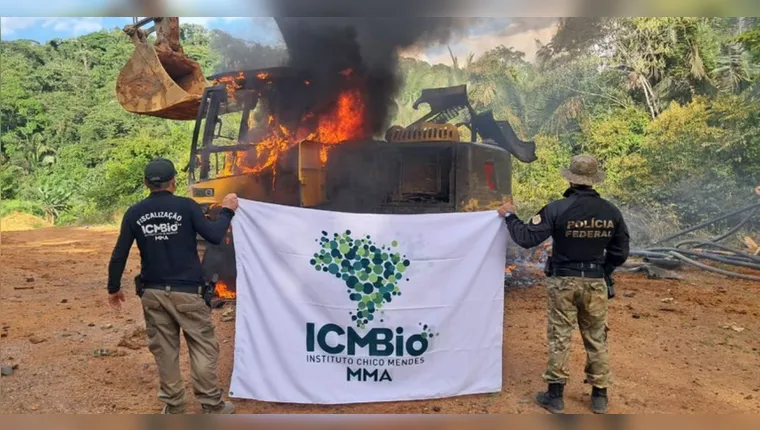 A operação contou com a Polícia Federal, o ICMBio e a Força Nacional. | (Divulgação/PF)