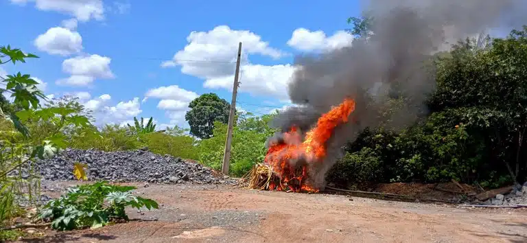 Foto: Reprodução/Polícia Federal