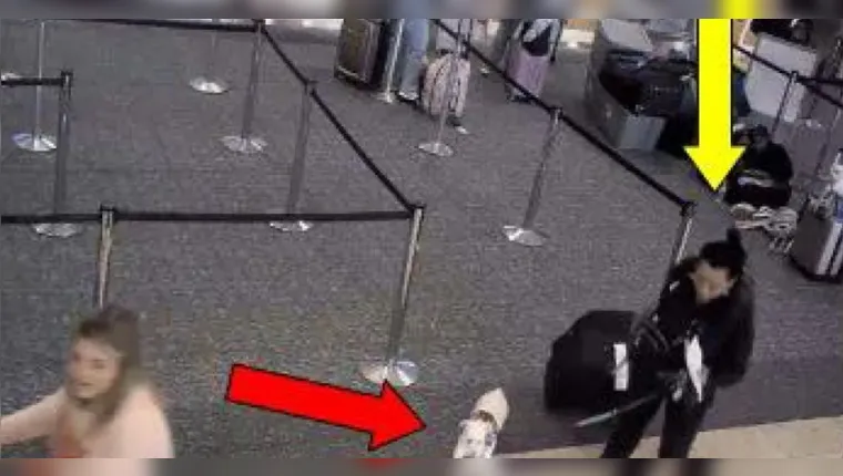 De acordo com imagens registradas, Alison foi filmada entrando em um banheiro do aeroporto com o cachorro | Reprodução/Redes Sociais