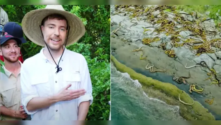 A ilha está localizada no Brasil | ​Foto: reprodução/YouTube