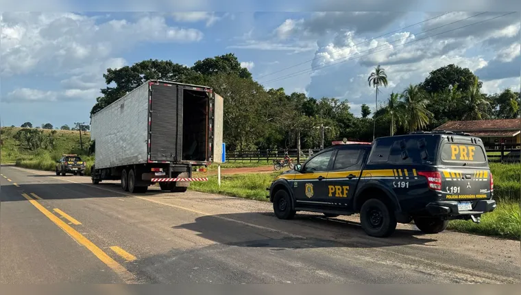 Os 203 quilos de skunk estavam divididos em 200 tabletes, acondicionados em embalagens duplas e distribuídos entre os itens da falsa mudança. | Divulgação / PRF