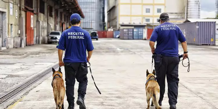 A imagem mostra os agentes da Receita Federal fazendo uma simulação com o uso de agentes caninos (Foto: Thiago Gomes/O Liberal)